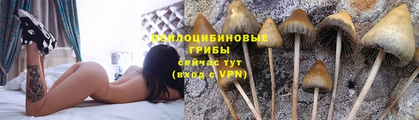 ALPHA-PVP Вяземский